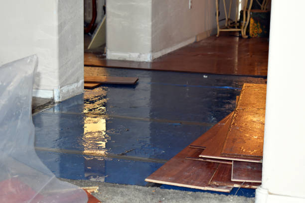 Professional Basement Flood Cleanup technician working in Fayetteville, TN